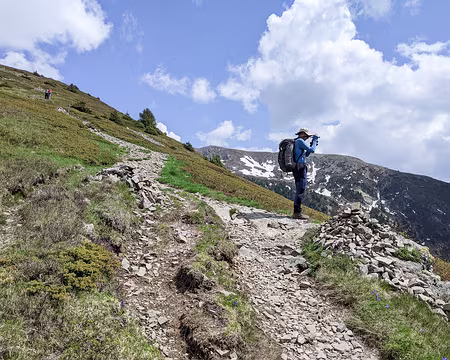 20230527-15h11m30s-PXL_20230527_131130459-V3