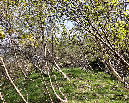 20230528-09h54m39s-IMG_0433-V3