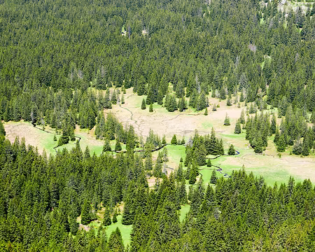 20230528-11h52m39s-P1150013-V3 Ruisseau des Sagnes.