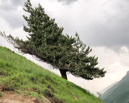 20230528-15h46m53s-IMG_0472-V3