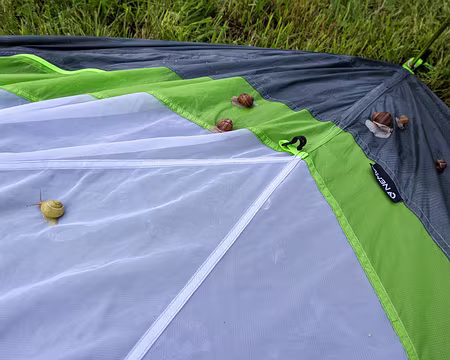 20230529-07h33m35s-PXL_20230529_053335610.MP-V3 Escargots du matin