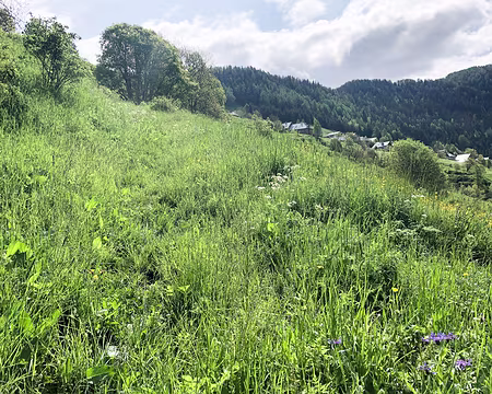 20230529-10h55m01s-IMG_0478-V3