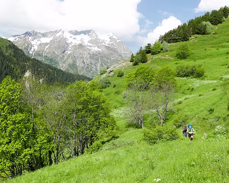 20230529-10h57m41s-P1150052-V3 Herbes hautes mais sèches contrairement à celles du fond de vallée.