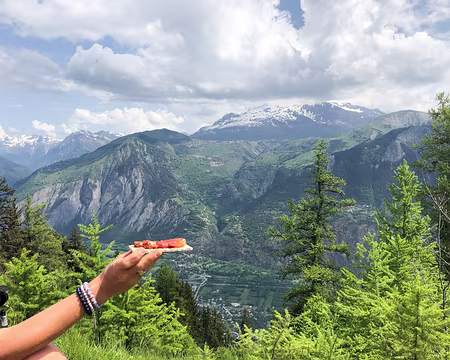 20230529-11h53m03s-IMG_0485-V3 Chacun son délice