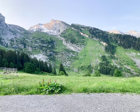 20230617-07h08m30s-IMG_5986-V3 On regarde un peu plus haut.