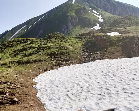 20230617-10h02m53s-20230617_100255-V3