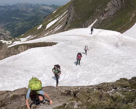 20230617-10h37m12s-XLA03694-V3