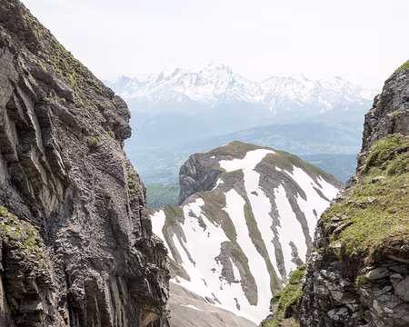 20230617-10h42m44s-XLA03705-V3 Cela me rappelle un dessert...