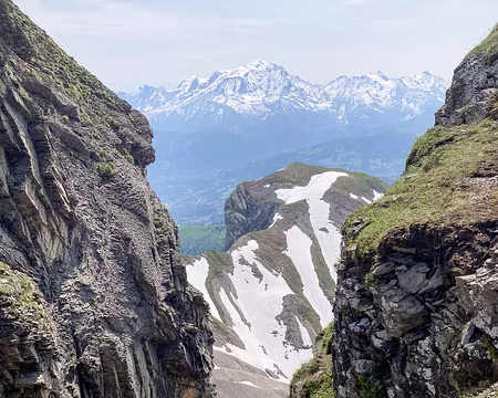 20230617-11h43m59s-IMG_5992-V3