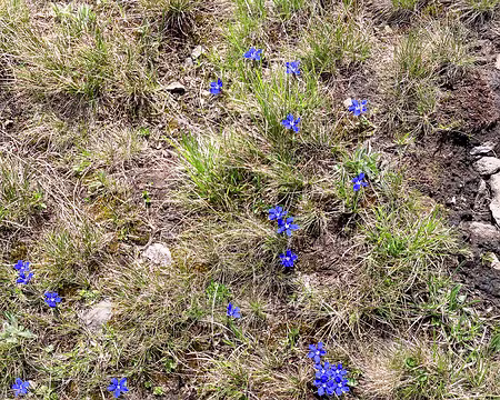 20230617-11h51m16s-IMG_5994-V3