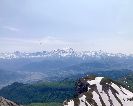 20230617-11h52m06s-IMG_5997-V3