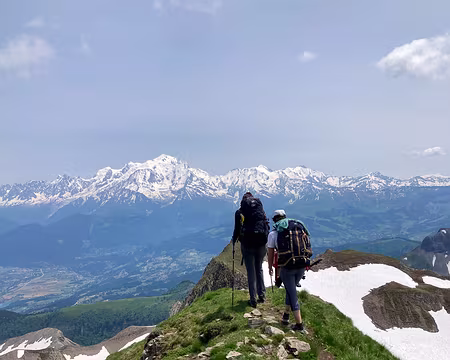 20230617-13h38m16s-IMG_6005-V3