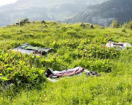 20230617-17h52m25s-XLA03747-V3