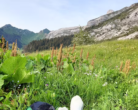 20230617-20h38m25s-IMG_20230617_203822-V3