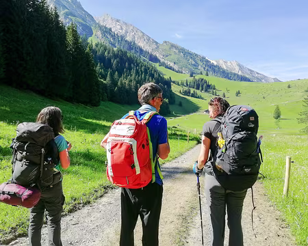 20230618-09h50m38s-IMG_20230618_095037-V3 On discute couleur des sacs...