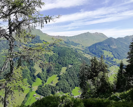 20230618-10h28m20s-IMG_20230618_102819-V3