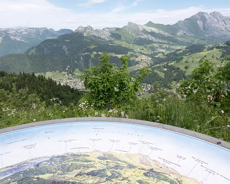 20230618-10h45m51s-XLA03774-V3 Tête du Danay