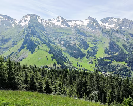 20230618-11h06m03s-IMG_20230618_110602-V3