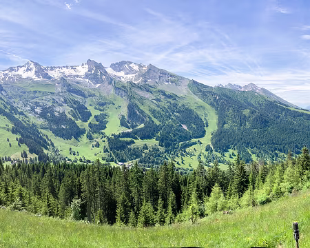 20230618-11h06m04s-IMG_6015-V3