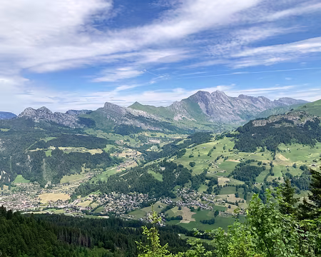 20230618-11h56m06s-IMG_6018-V3