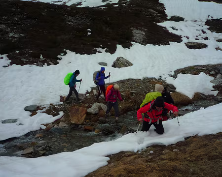 P1330160 Un sentier ? Non, pas vraiment !