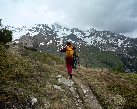 P1330162 Un peu de répit.