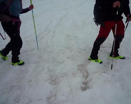 P1330184 Les crampons du trail en pleine action