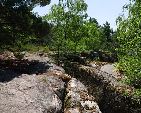 P1150139 Un mini-Fontainebleau par endroit.