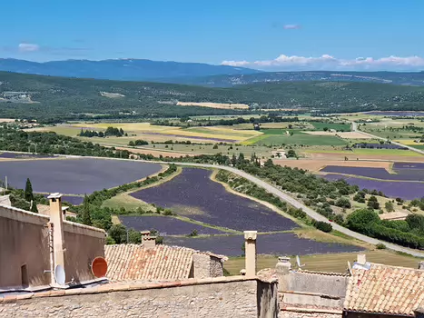 2023-06 Montagne de Lure