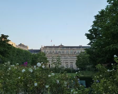 P1160964 Jardins du Palais royal. Merci à Marylise.