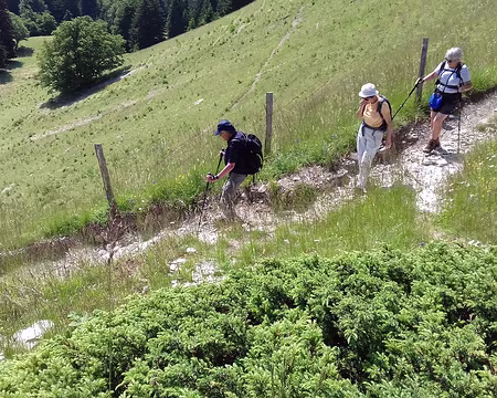 017 Descente vers l‘alpage de la Molière classé Espace naturel sensible