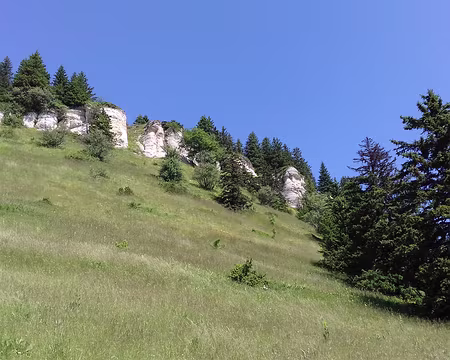 018 Les falaises calcaires dominent les alpages