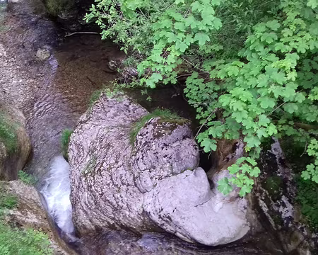 034 Le torrent du Cadet vu du pont