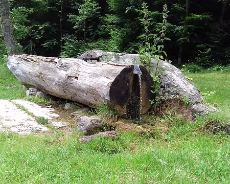 056 La source-fontaine du Rivet