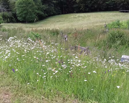 063 La prairie du gite des Ecouges
