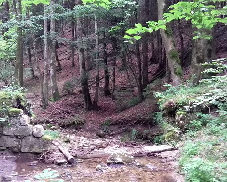 066 Ruines du moulin