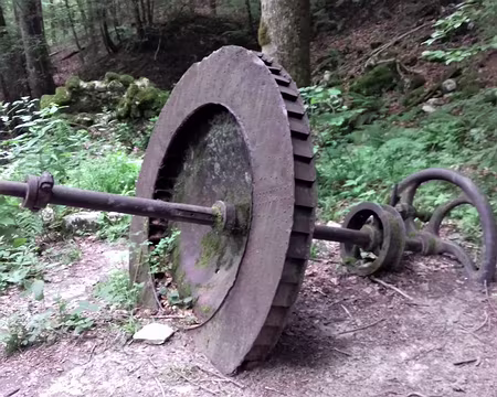 067 En contrebas du moulin, dans la forêt, l’axe et la roue qui activaient la scie à bois
