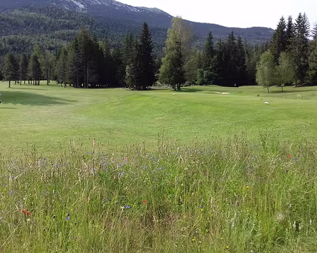 083 se situe dans une vaste clairière au sud de Corrençon