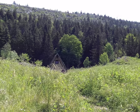 094 La prairie de Carrette et sa cabane construite en 1894 pour l’ONF