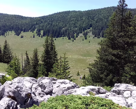 098 Elle est entourée de massifs forestiers denses