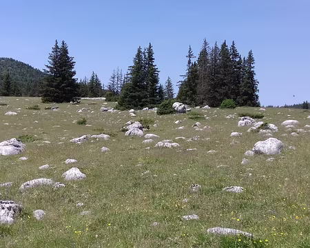 100 Les nombreux blocs rocheux qui jalonnent la plaine de Darbounouse ont été déposés par les glaciers au Quaternaire