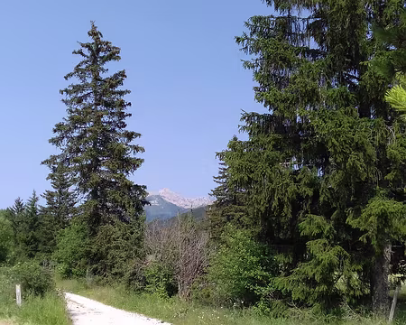 108 Vue sur le Roc Cornafion (2049 m) dans la barrière orientale du Vercors