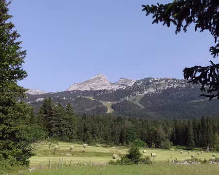 109 La Grande et la Petite Moucherolle