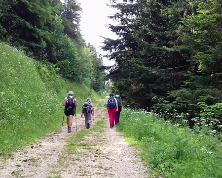 125 Montée par la route forestière des Sables