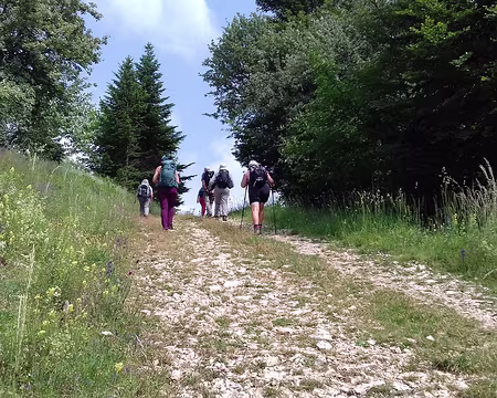 127 Montée vers le belvédère