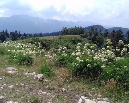 130 Vue sur la barrière orientale du Vercors
