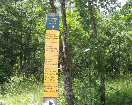 136 Le Chargeoir de la 46 dans la forêt communale de Villard-de-Lans