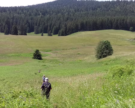 143 Arrivée dans la plaine d’Herbouilly (1290 m) à travers les hautes herbes