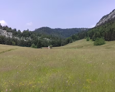 145 Cette grande clairière est une zone naturelle sensible protégée
