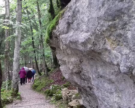 157 Accès à un site national historique, la grotte de La Luire, sur la commune de Saint-Agnan en Vercors, à quelques kilomètres à l’est de Vassieux …